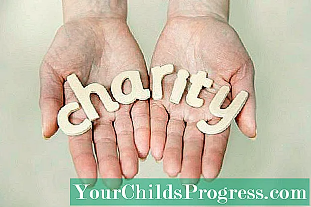 8 tipos de donaciones caritativas