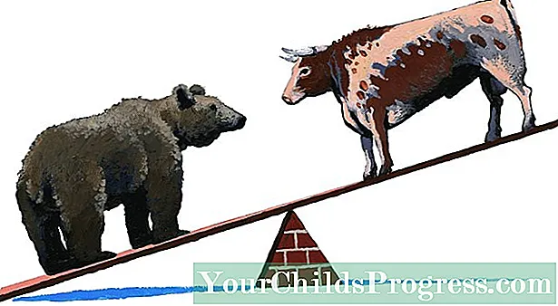 Hvordan investere for et bjørnemarked