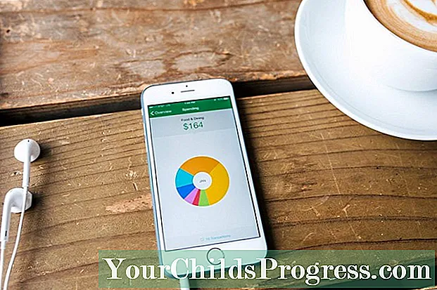 Mint Personal Finance App: asosiy xususiyatlari, ijobiy tomonlari va kamchiliklari