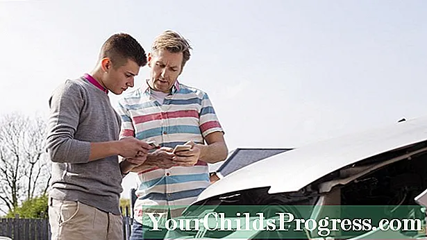 Bevis på forsikringskort for kjøretøyet ditt