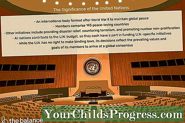 Les Nations Unies et leur fonctionnement