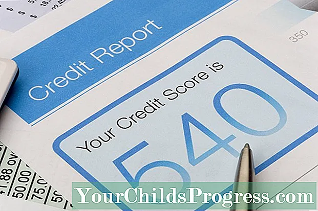 Hvorfor en kreditrapport er vigtig