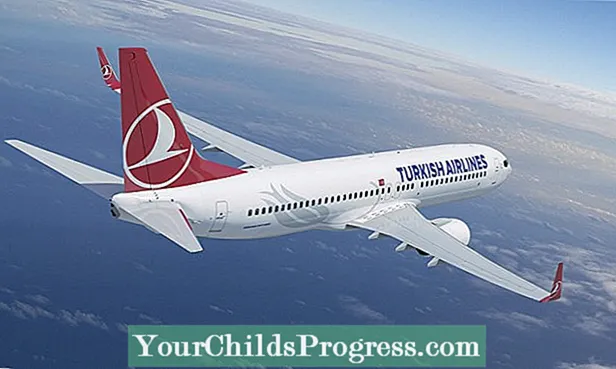 Come sfruttare al meglio la classe Economy di Turkish Airlines