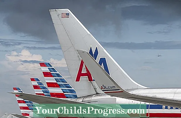 Sử dụng thẻ American Airlines, tránh lệnh cấm vận chuyển giá vé thấp - Tài Chánh