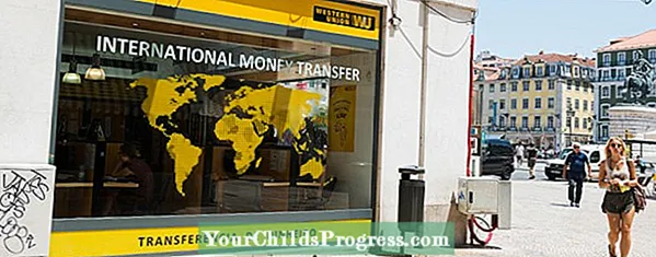 Pregled Western Union novčanog prijenosa